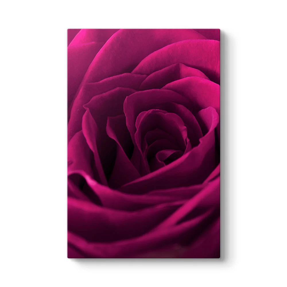 Bordo Gül Tablosu - Model 2